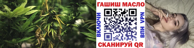 darknet какой сайт  купить  сайты  Плёс  Дистиллят ТГК вейп с тгк 