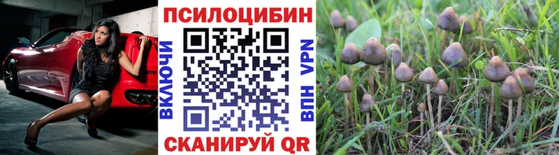 MEGA tor  магазин    Плёс  Псилоцибиновые грибы GOLDEN TEACHER 
